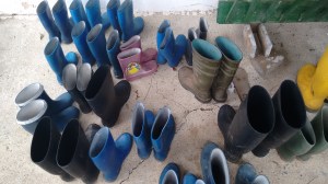 img_20160807_104521750