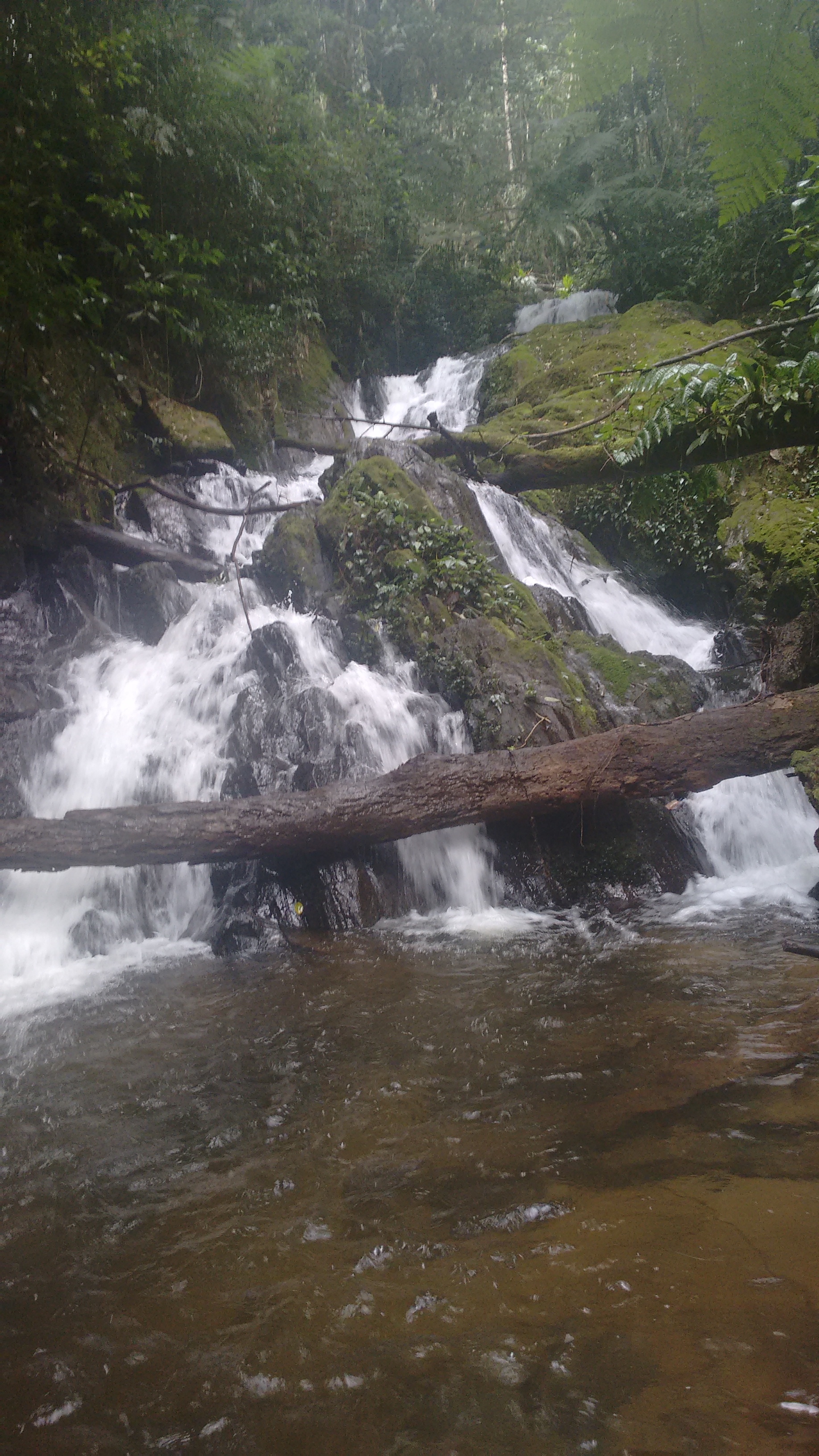 img_20160807_122916007