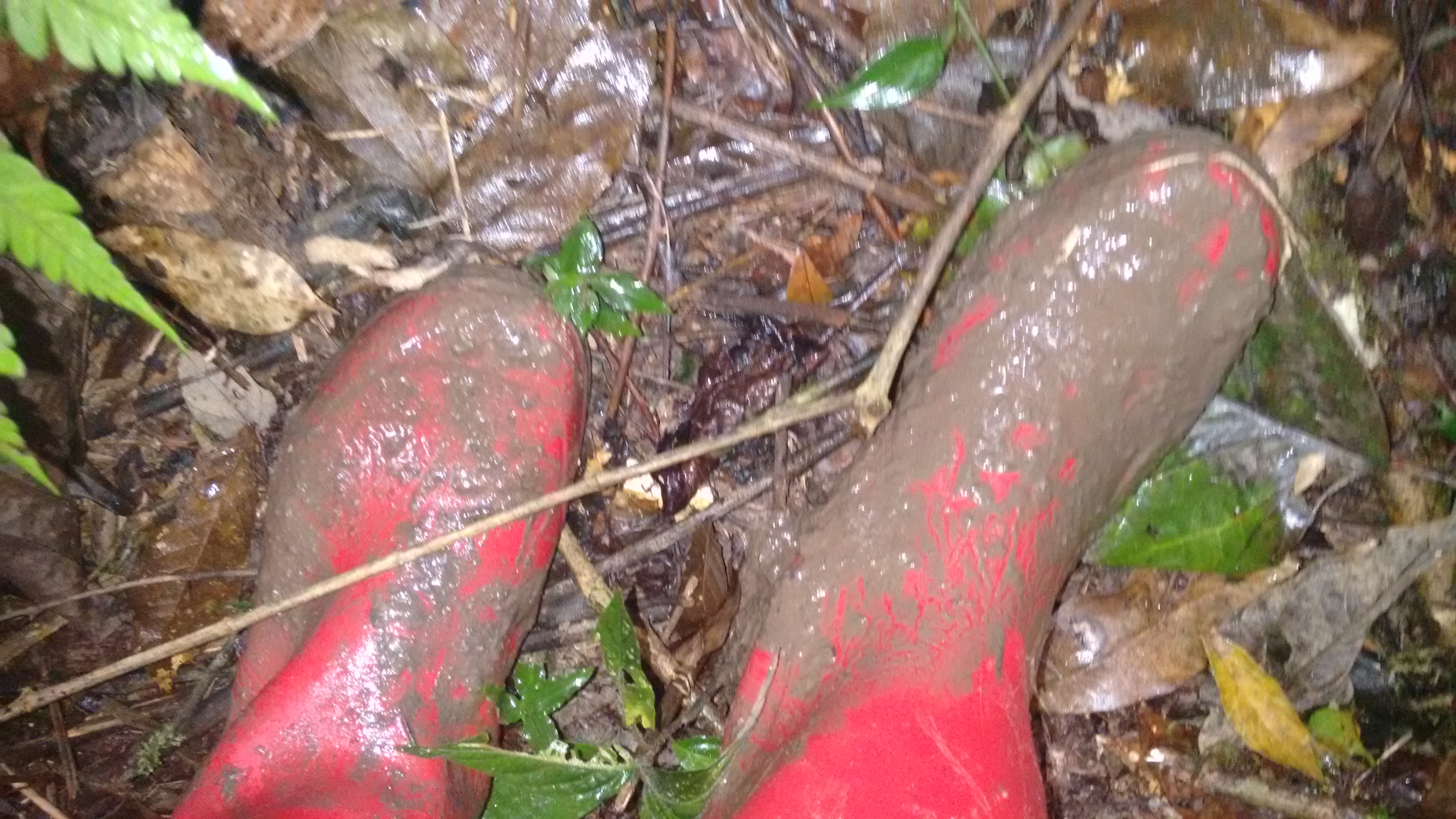 img_20160807_133729553