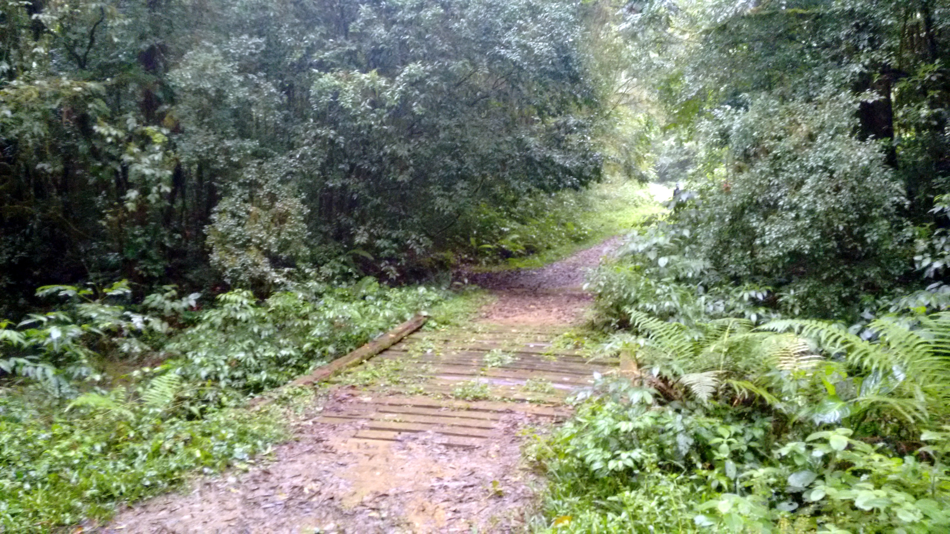 img_20160325_145926120