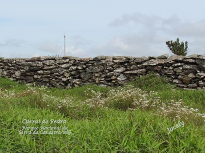 106.CANASTRA FURNAedit.(04#2013)-046.JPG