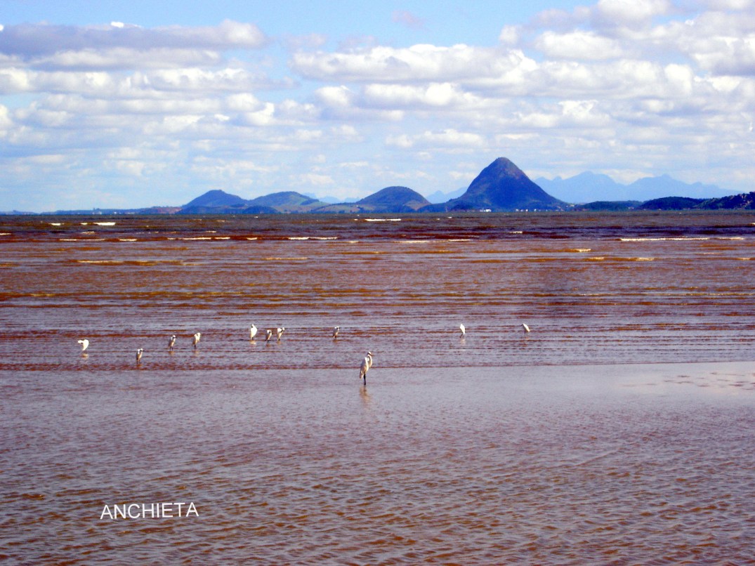 PASSOS 14-06-08 01-41-07