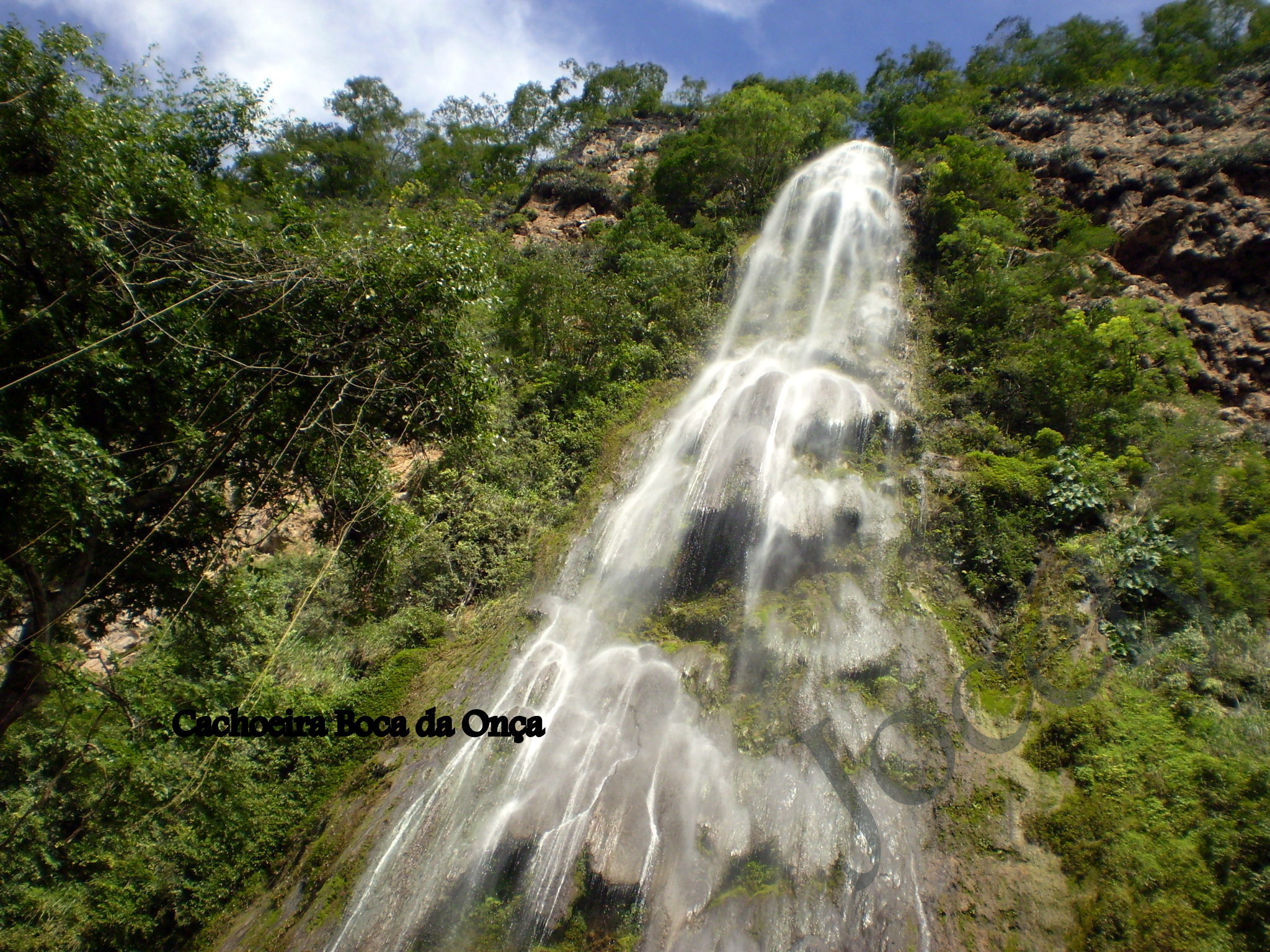 BONITO (209) 2009  24-03-09 15-18-55.JPG
