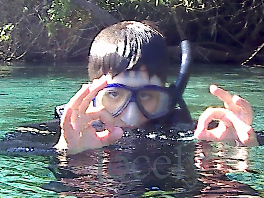 This photo is taken by AllWinner's v3-sdv