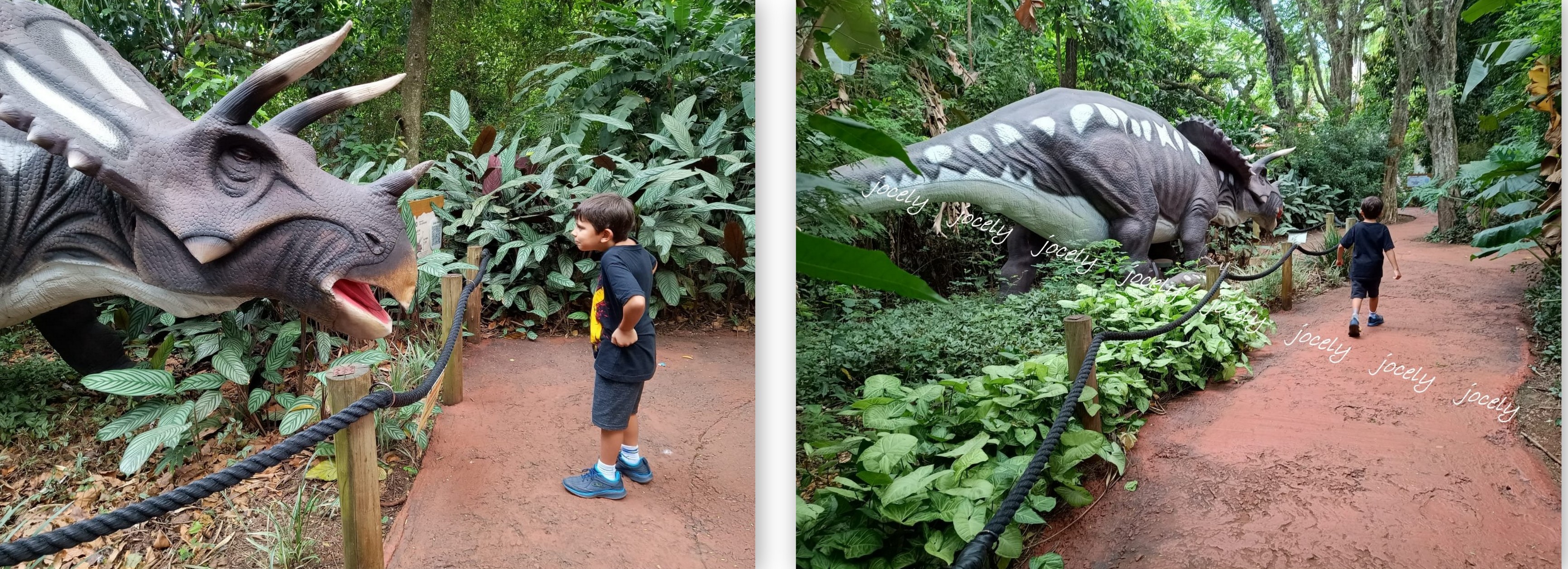 FOZ IGUAÇU#09#2023-003