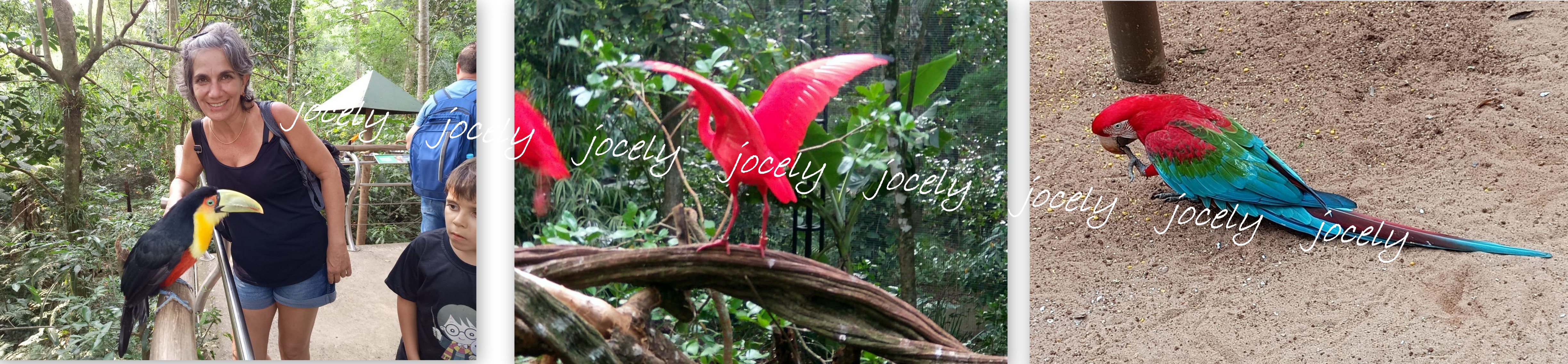 FOZ IGUAÇU#09#2023-005