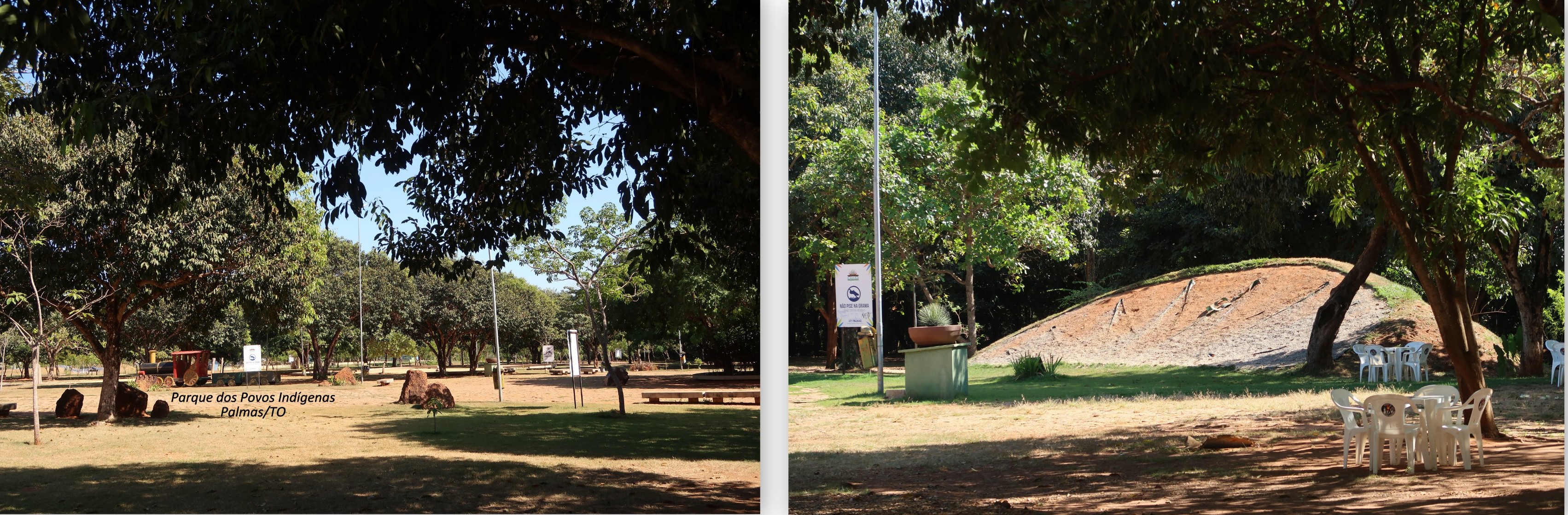 64. PALMAS,TO#072-001.jpg