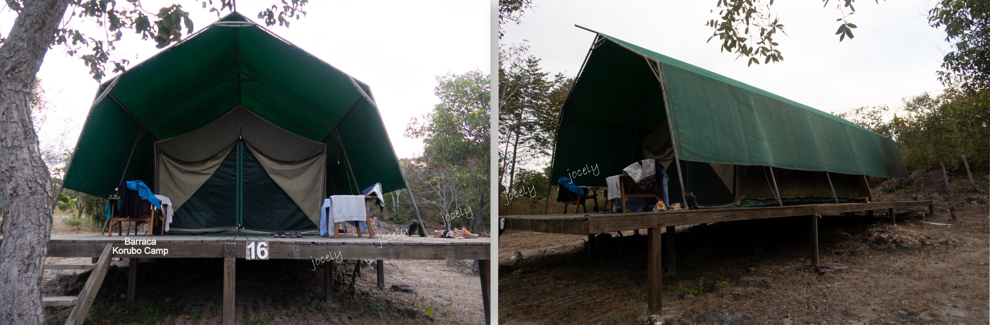 jocely           jocely          jocely          jocely          jocely