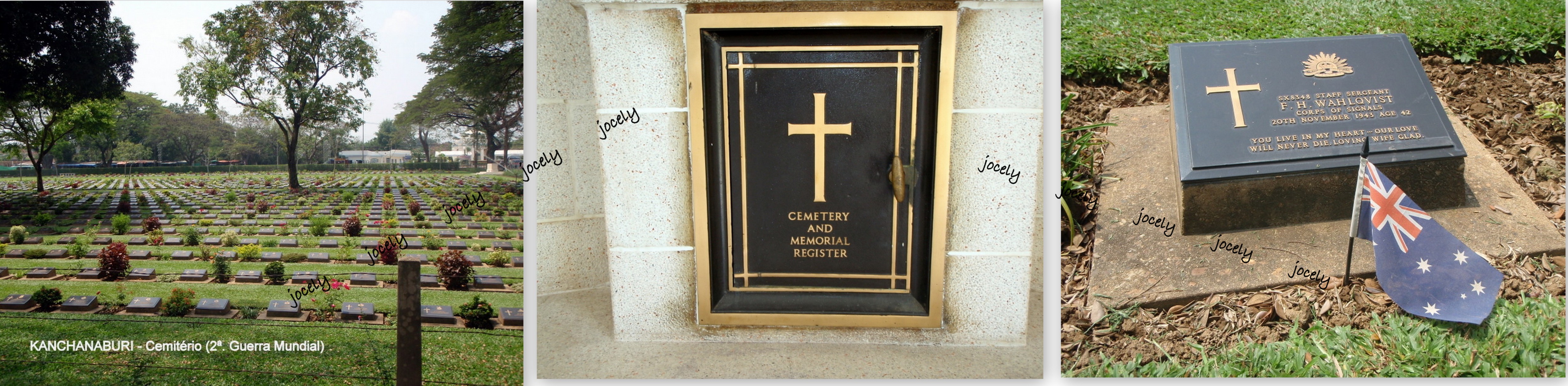 jocely jocely jocely jocely jocely