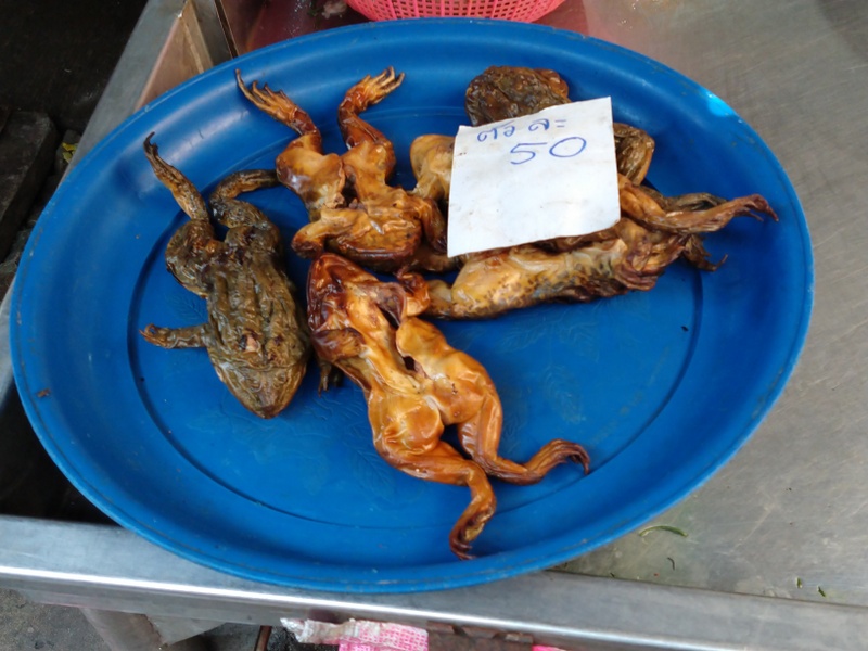 IMG_20191107_112521810_MP-001