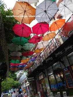 IMG_20191102_132513422_MP