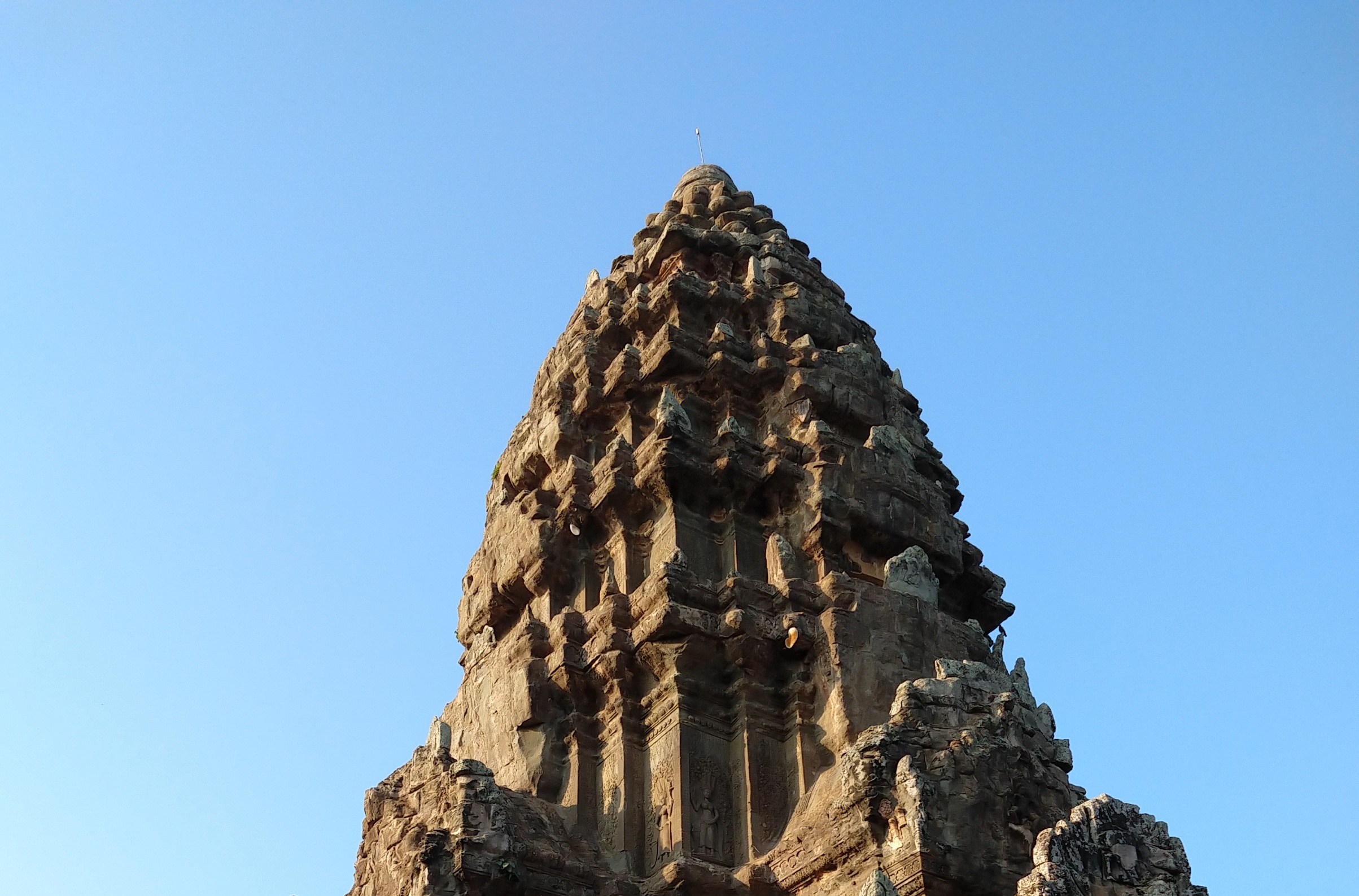 IMG_20191105_072138787_MP