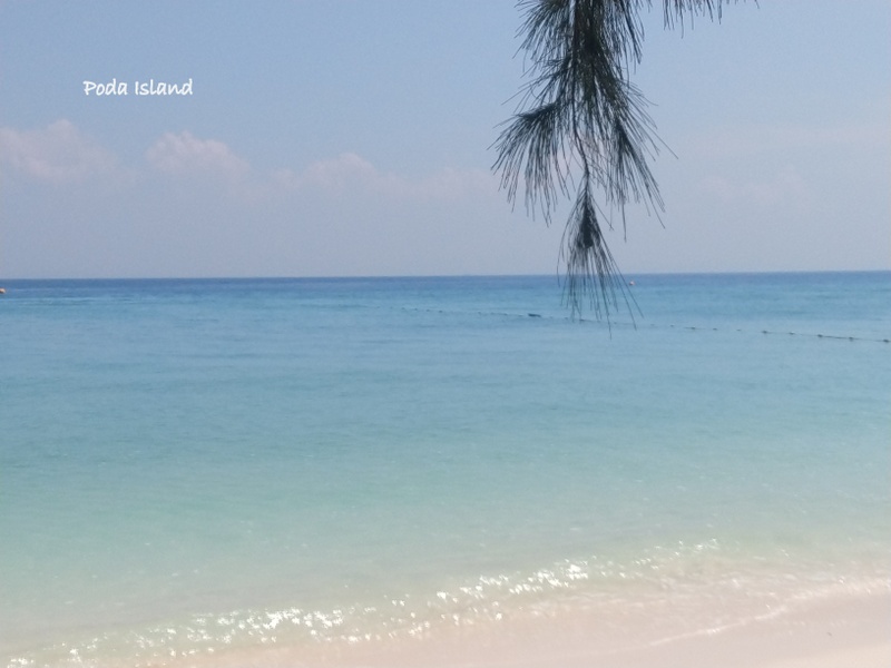 IMG_20191112_115315116