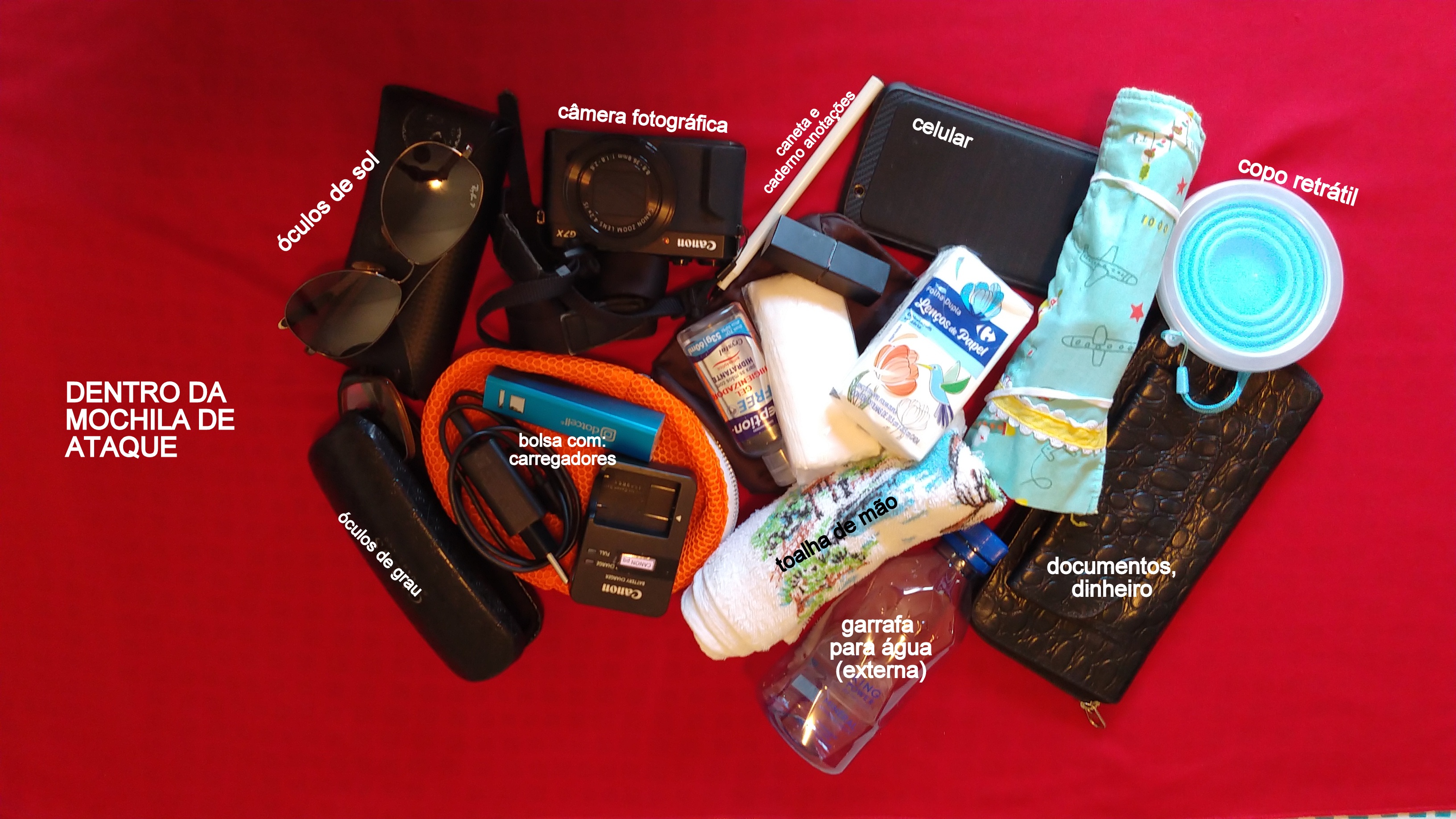 IMG_20200309_113538879-001