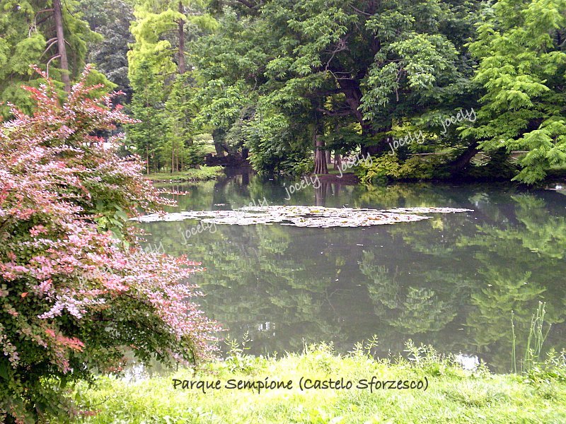 170 - MILÃO - jardins castelo Sforzesco - 29/05