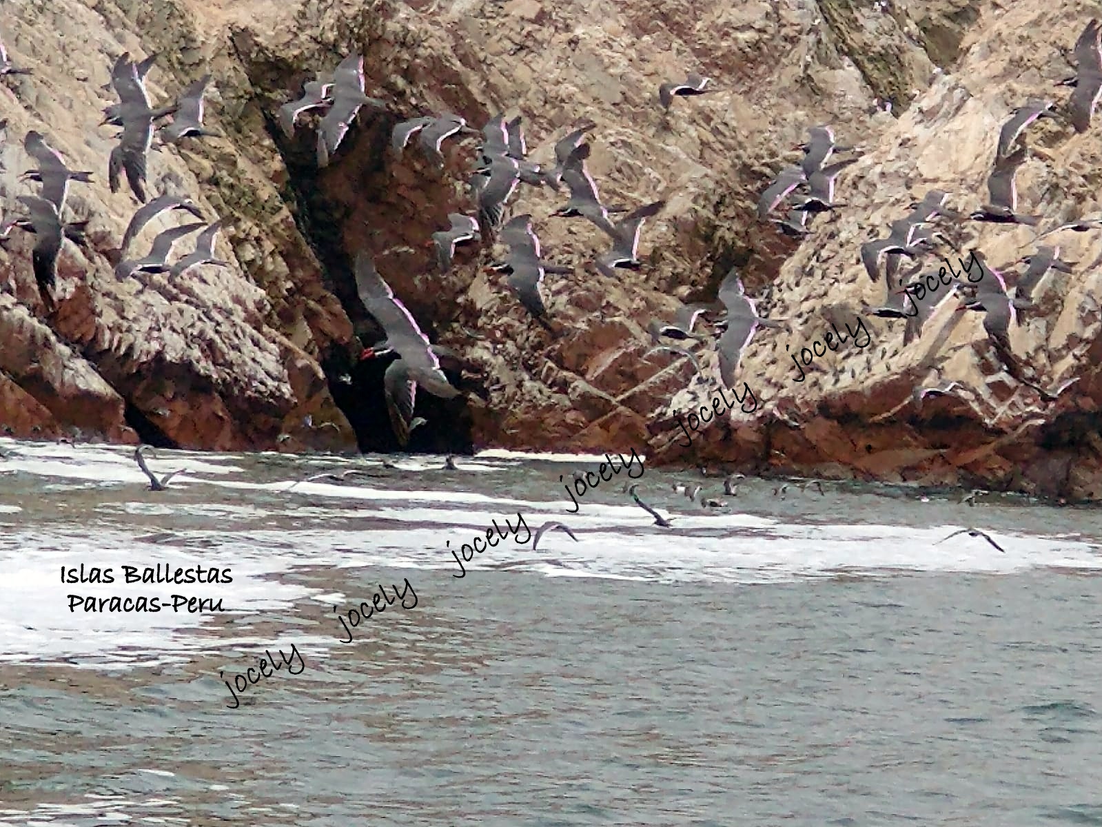 WhatsApp Image 2023-01-22 at 11.56.49 (2)