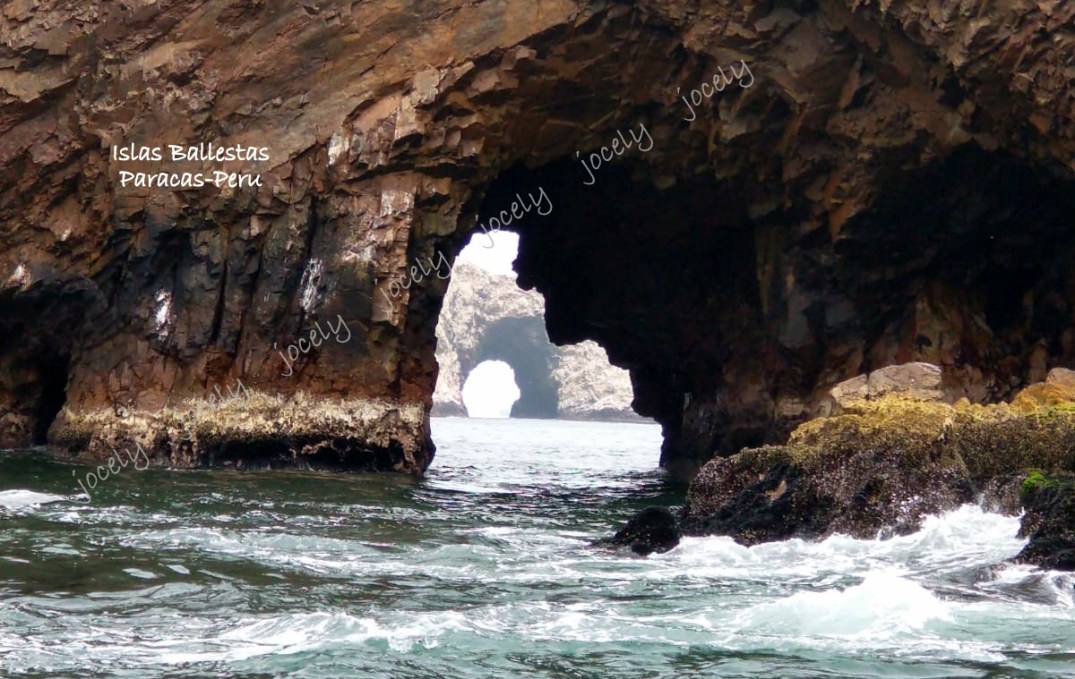 WhatsApp Image 2023-01-22 at 12.01.09 (1)