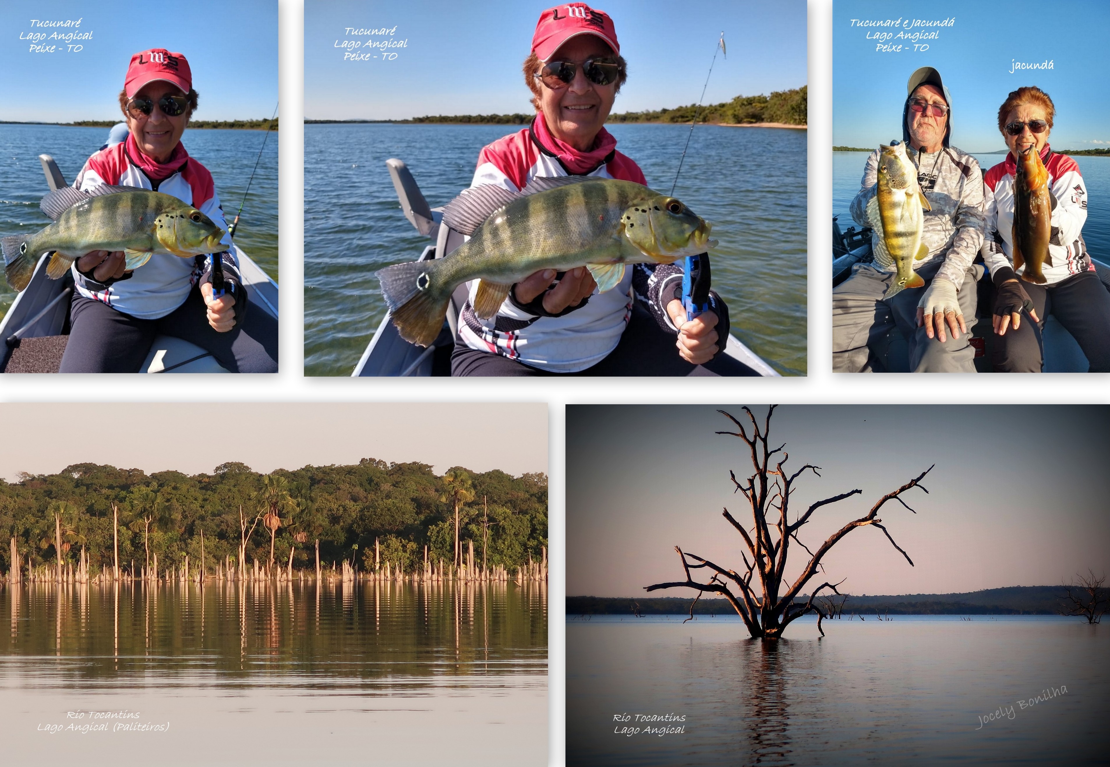 TOCANTINS,PEIXE3-006