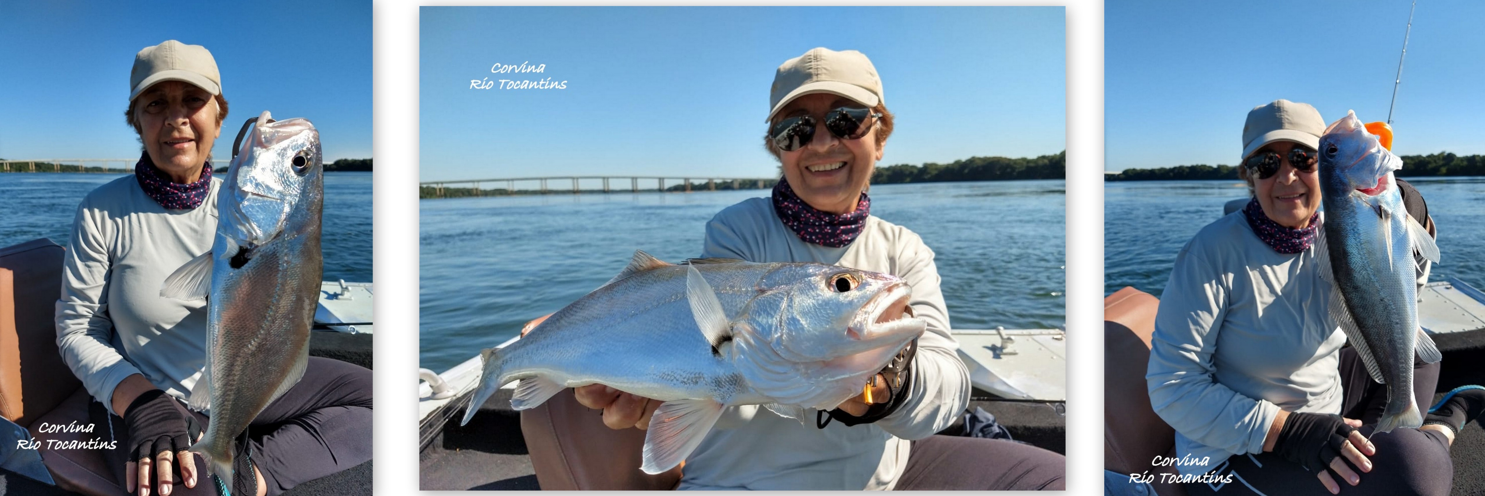 TOCANTINS,PEIXE3-005