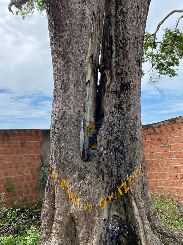 90471817_215804083163095_8409644470642933760_n (1)