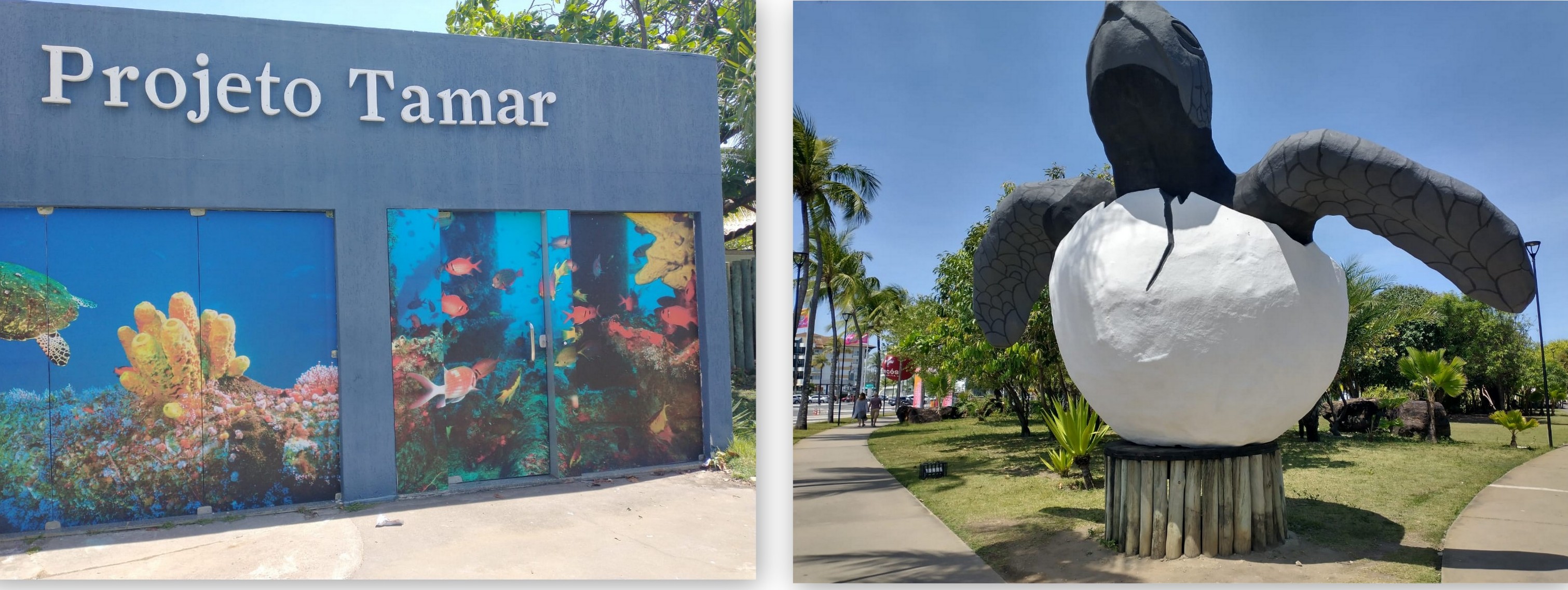 SERGIPE,ARACAJU,ORIGINAL