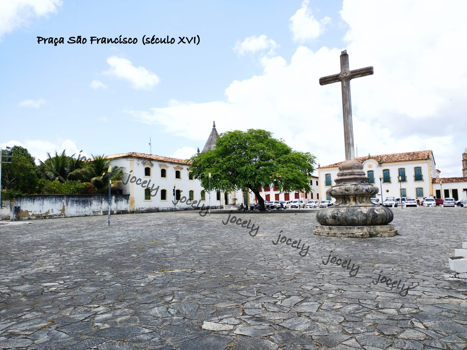 WhatsApp Image 2022-10-30 at 11.36.00