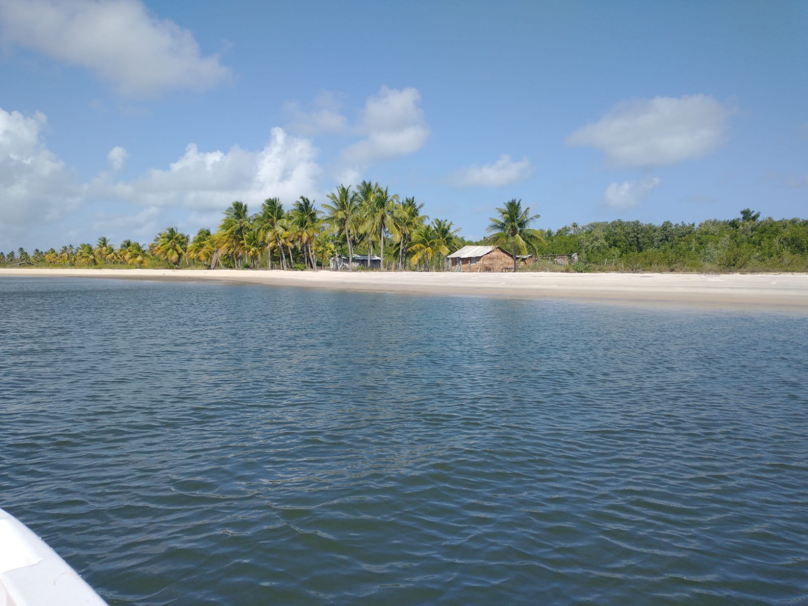 WhatsApp Image 2022-10-31 at 16.52.01