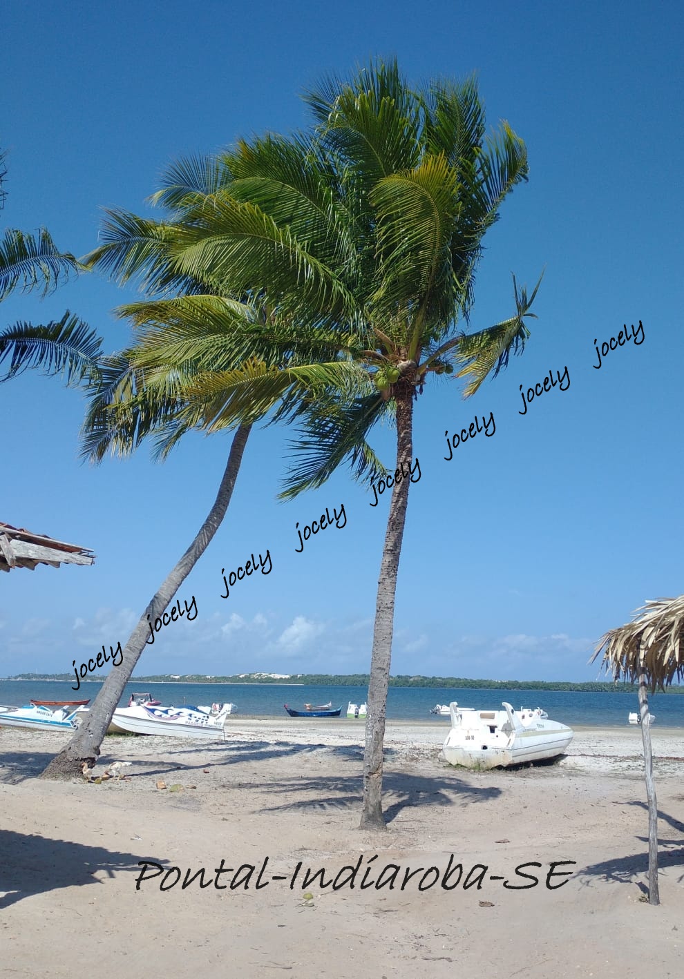 WhatsApp Image 2022-10-31 at 16.52.02 (2)