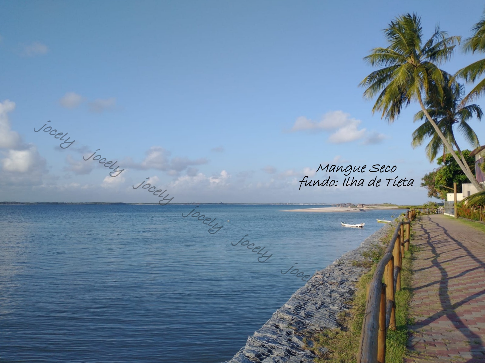 WhatsApp Image 2022-10-31 at 16.52.04 (1)