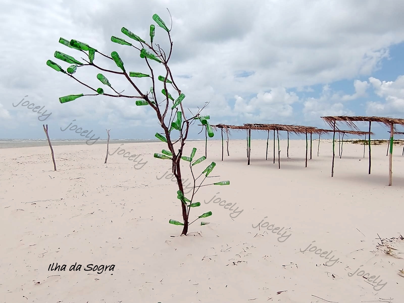 WhatsApp Image 2022-10-31 at 16.53.38 (2)