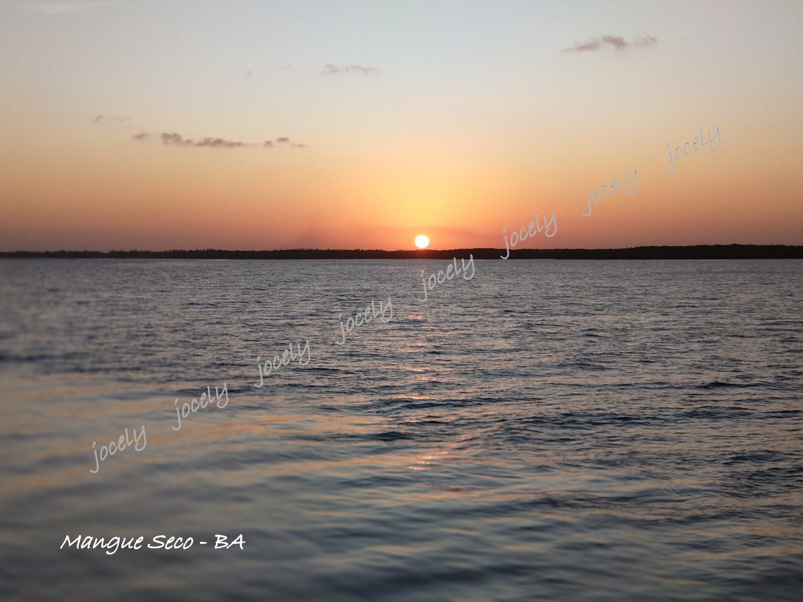 WhatsApp Image 2022-10-31 at 16.54.17 (2)