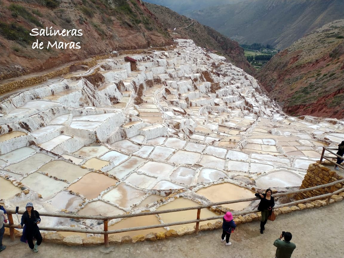 WhatsApp Image 2023-01-22 at 12.19.00