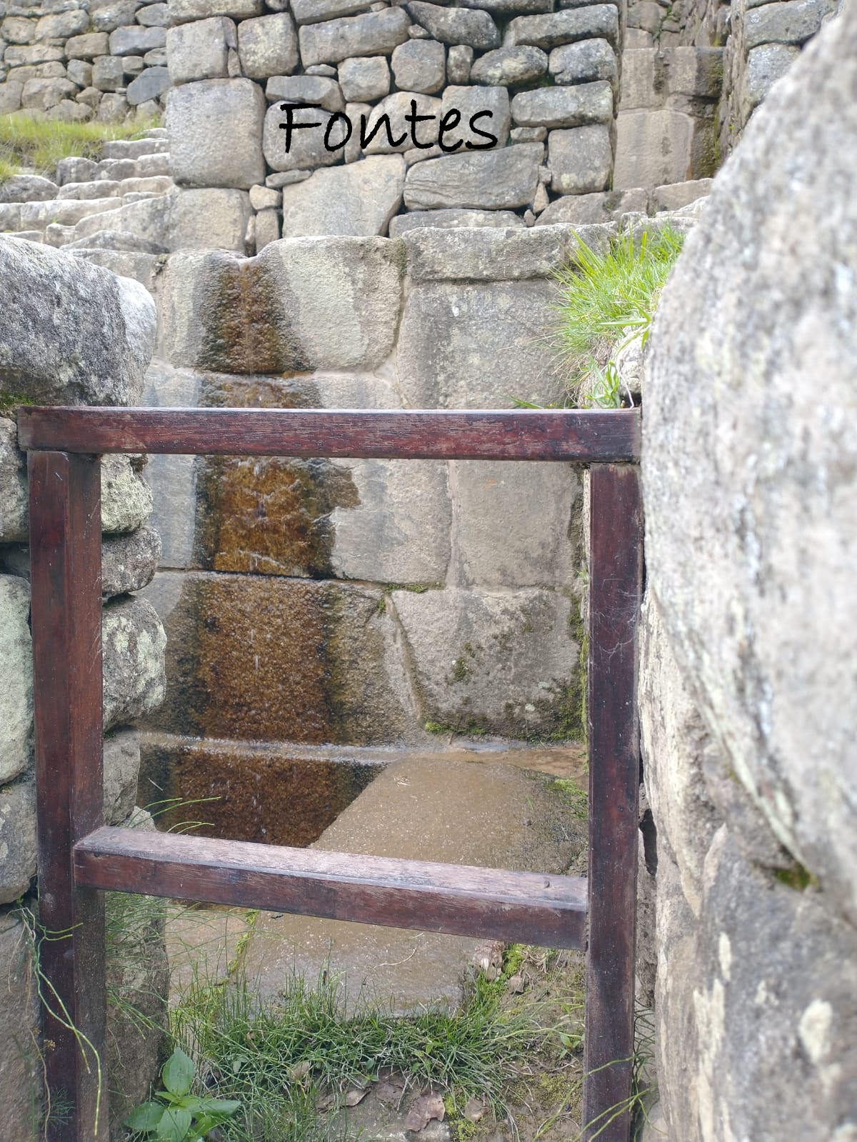 WhatsApp Image 2023-02-03 at 15.40.41 (1)