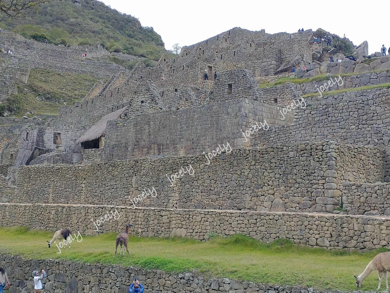 WhatsApp Image 2023-02-03 at 15.40.42