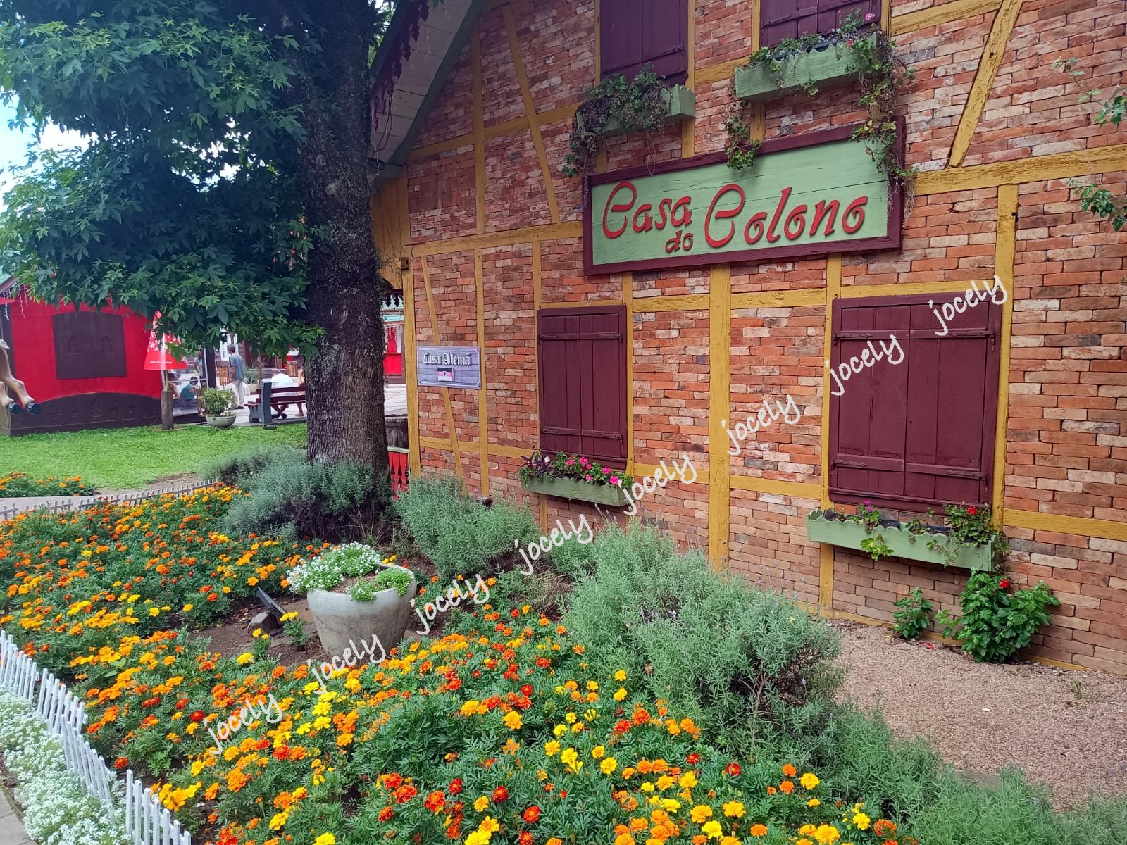 Imagem do WhatsApp de 2024-01-005