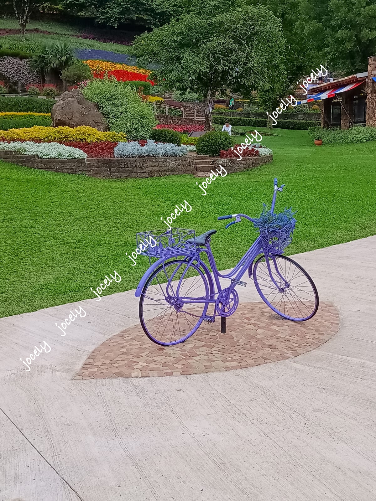 Imagem do WhatsApp de 2024-01-008