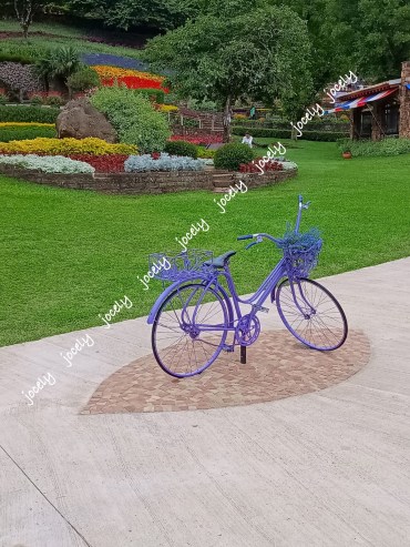 Imagem do WhatsApp de 2024-01-008