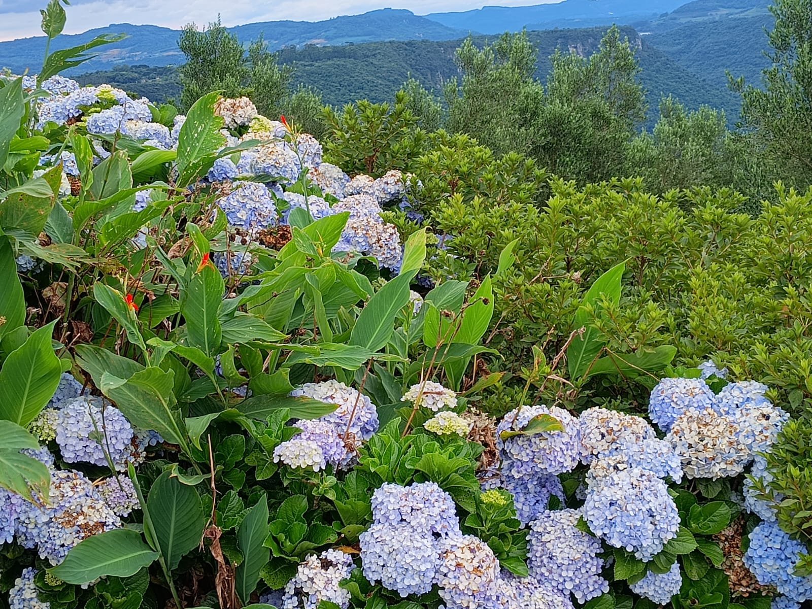 IMG-20240103-WA0305-002